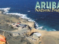 Aruba - Natural Bridge from Air (Postcard)