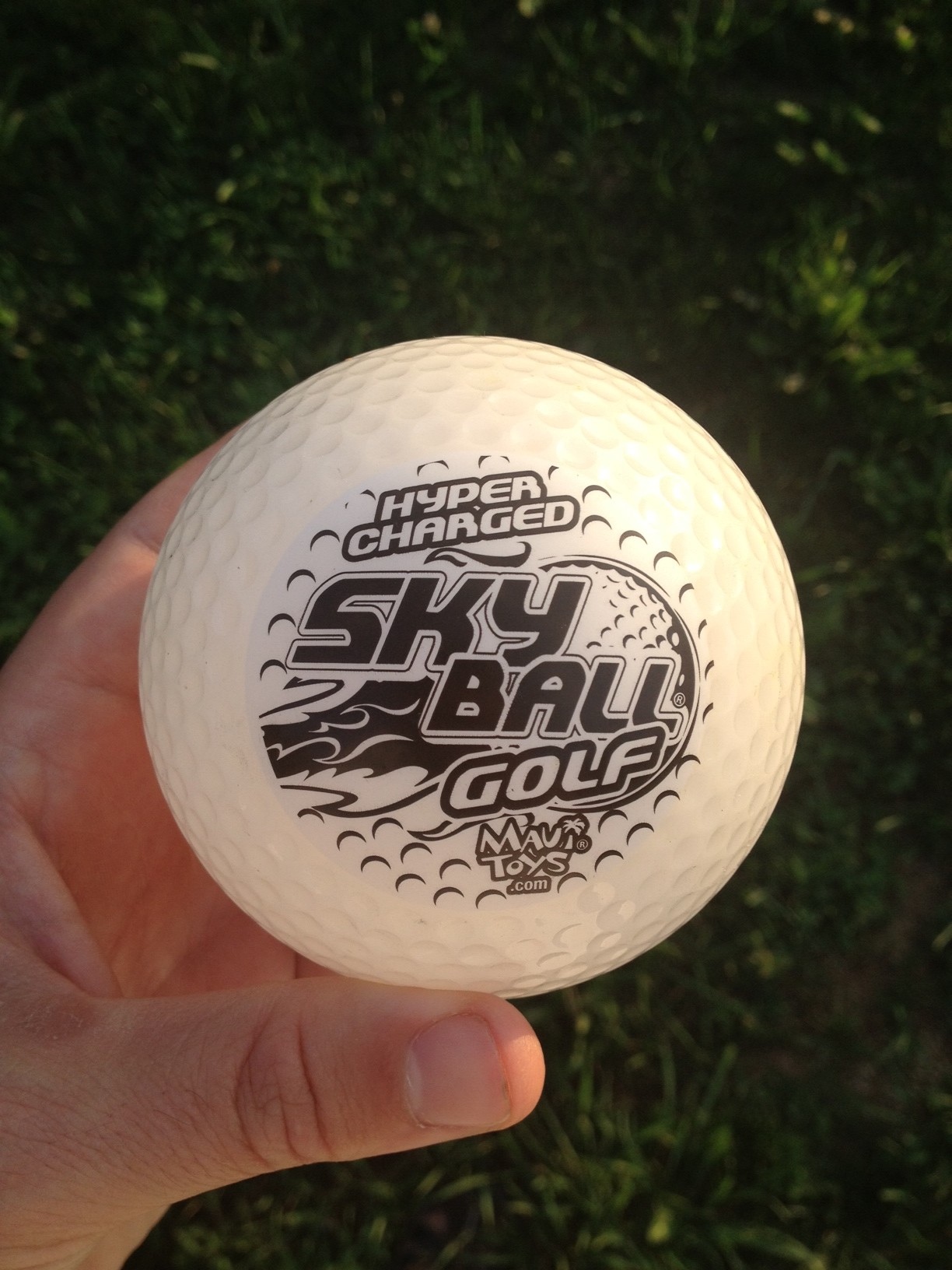 Sky Ball Golf Review - thumbs down! - HomeDaddys